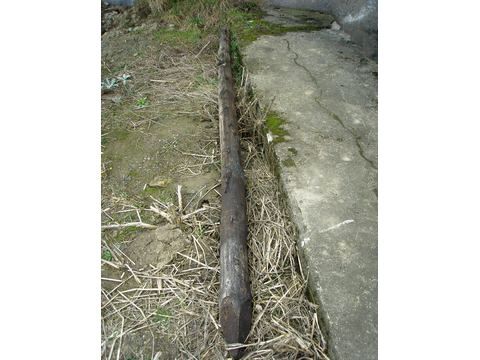 Foto 101